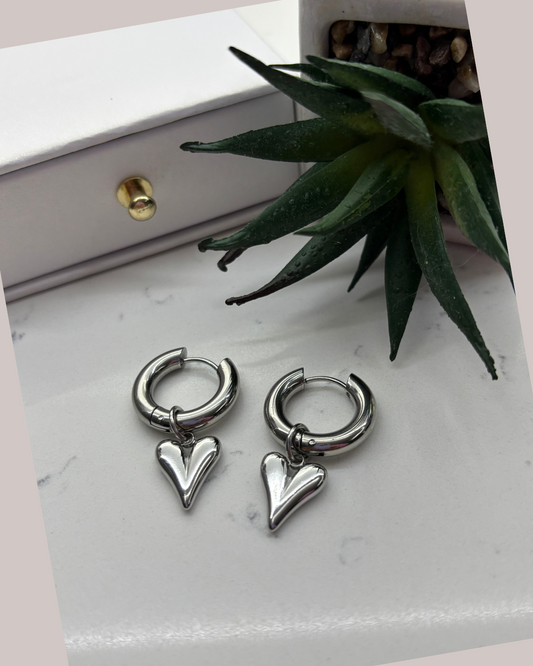 Stainless Steel Earrings