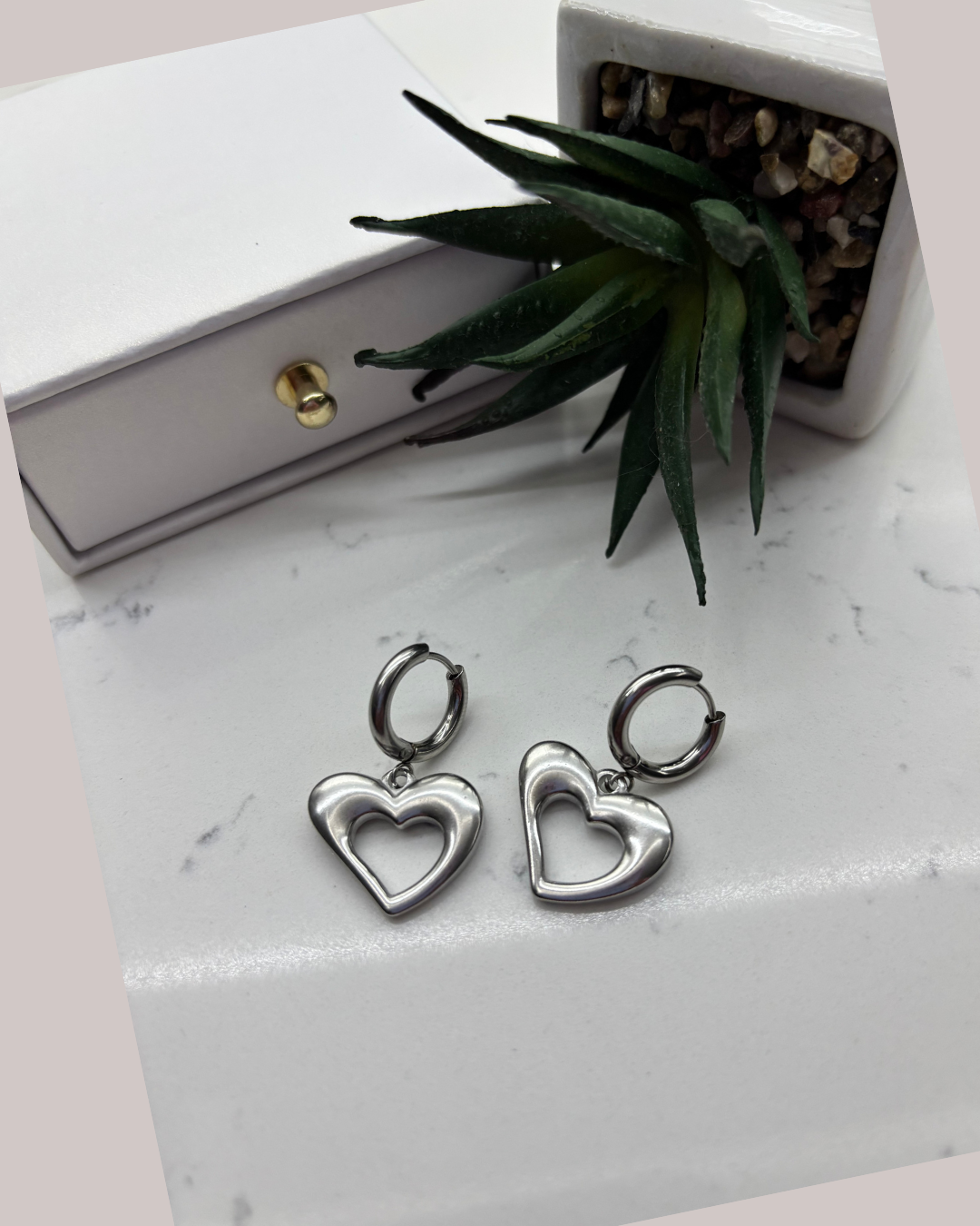 Stainless Steel Earrings