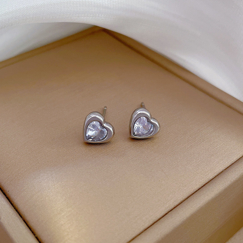 Stainless Steel Earrings