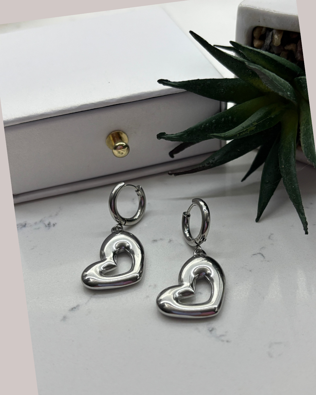 Stainless Steel Earrings